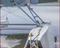 TSR Watermark - 0279